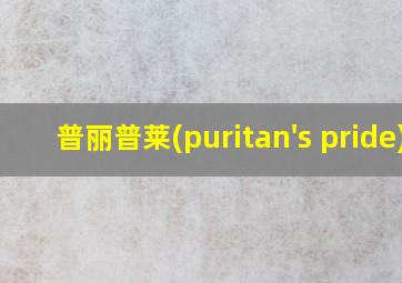 普丽普莱(puritan's pride)